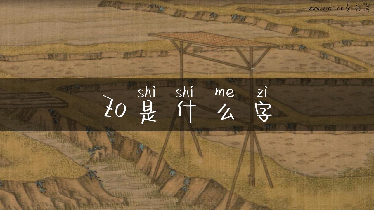 Zo是什么字