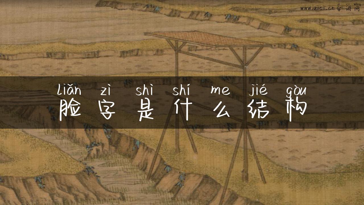 脸字是什么结构
