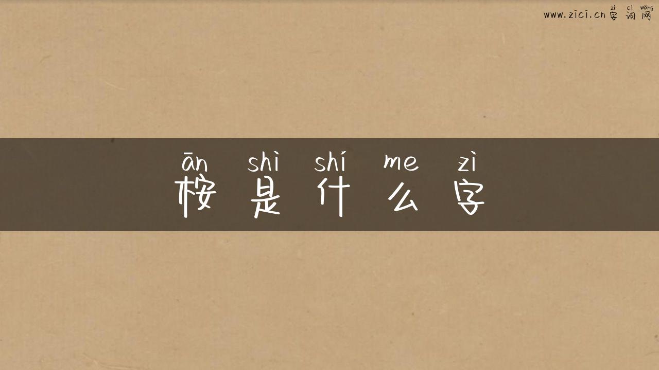 桉是什么字