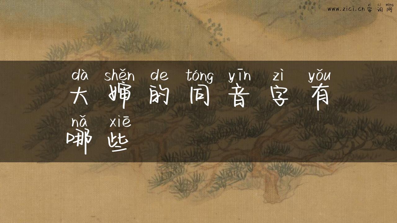 大婶的同音字有哪些