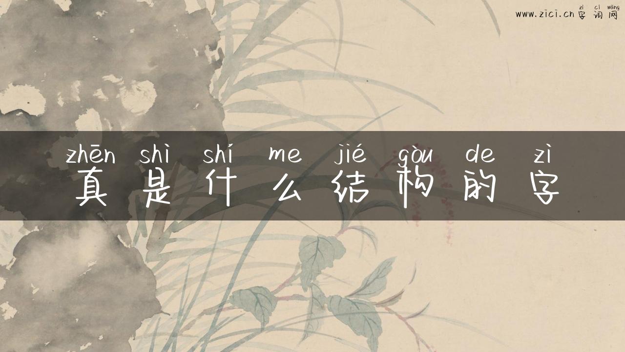 真是什么结构的字