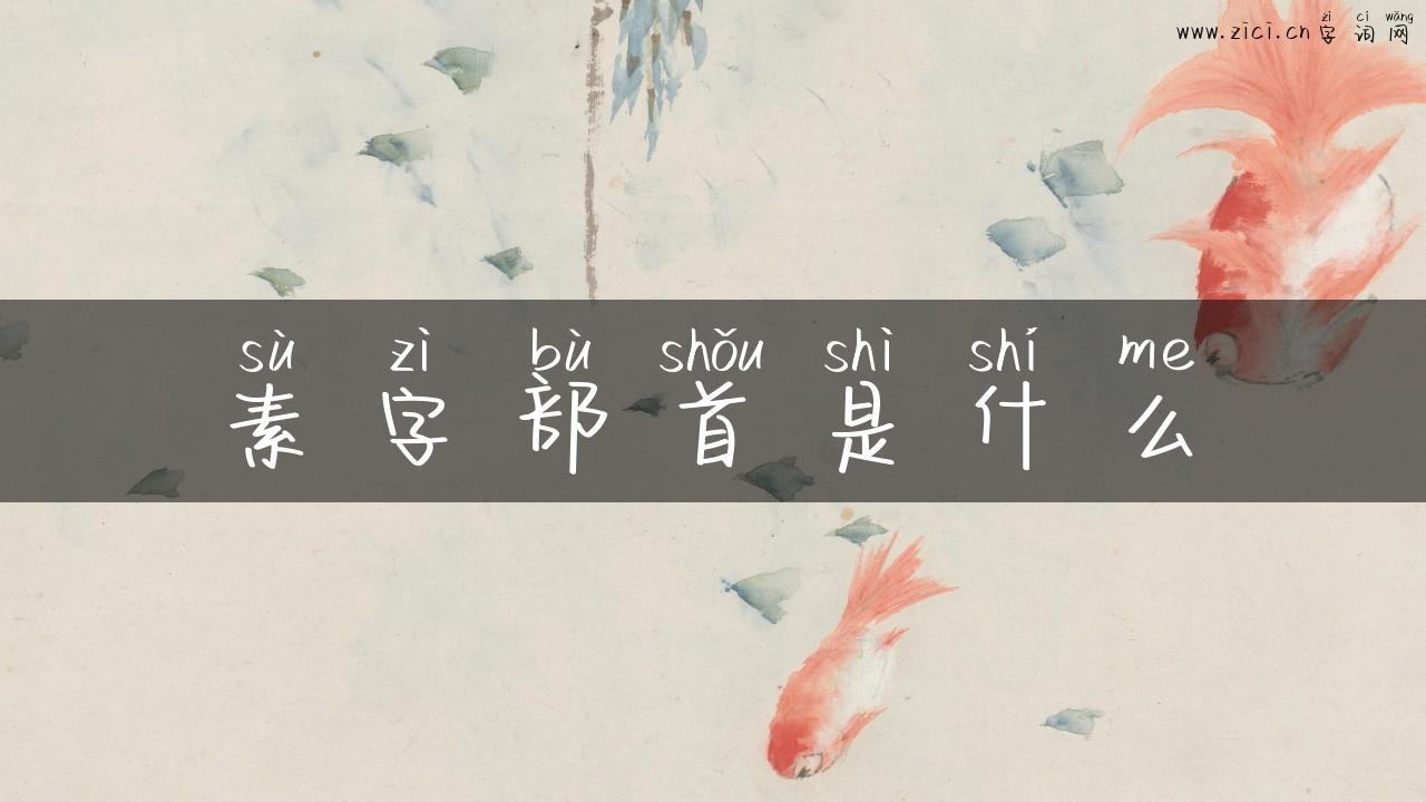 素字部首是什么