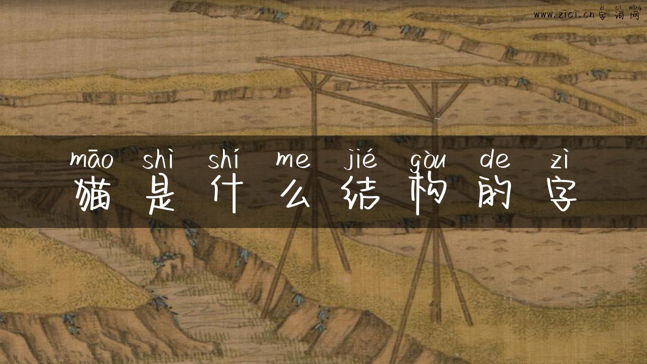 猫是什么结构的字