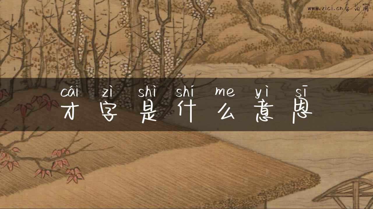 才字是什么意思