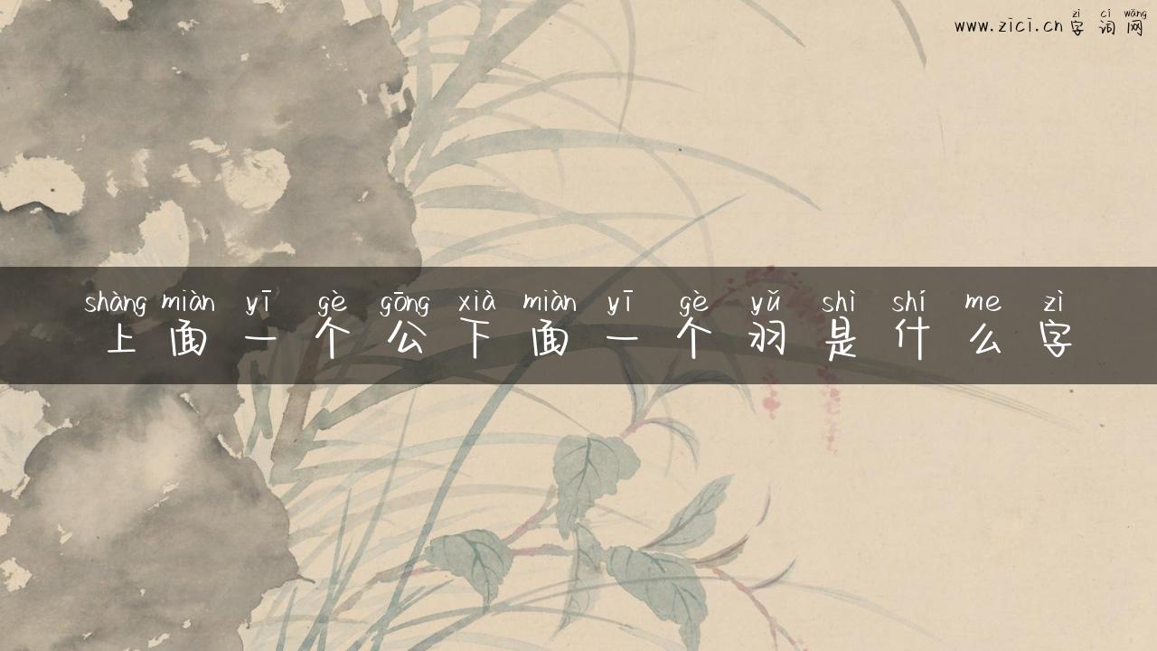 上面一个公下面一个羽是什么字