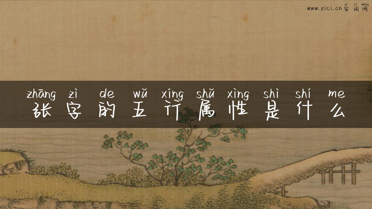 张字的五行属性是什么