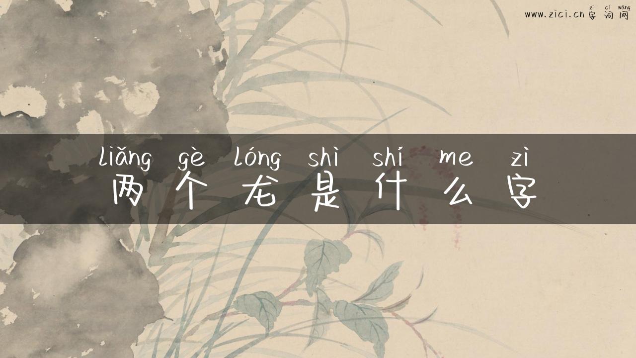 两个龙是什么字