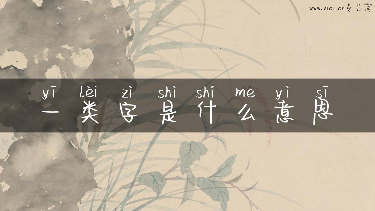 一类字是什么意思