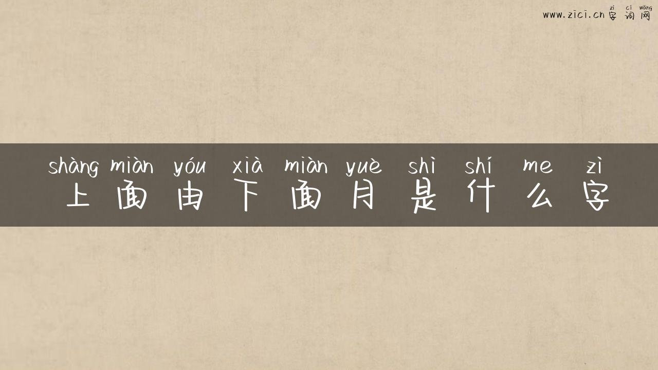 上面由下面月是什么字