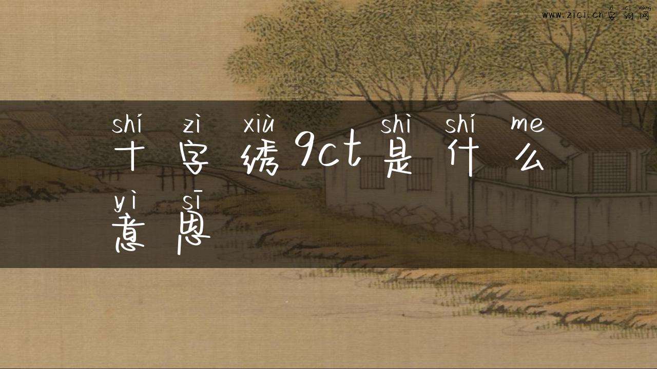 十字绣9ct是什么意思