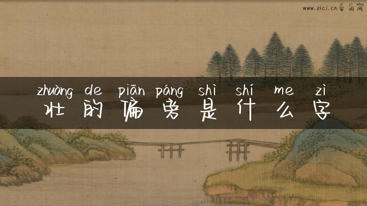 壮的偏旁是什么字