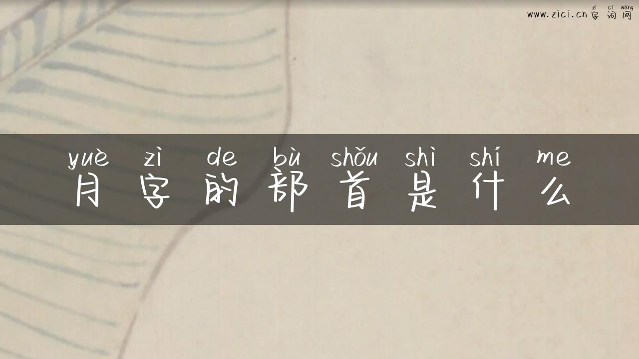 月字的部首是什么