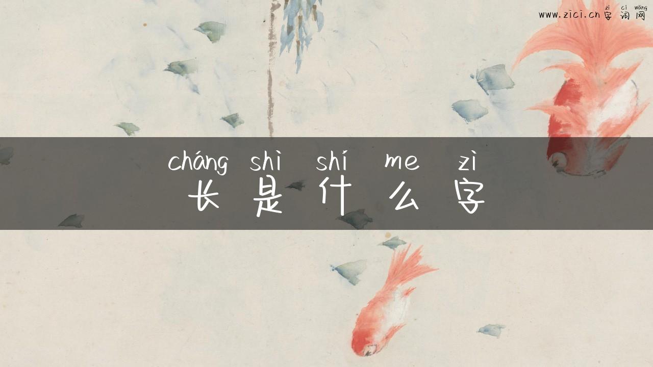 长是什么字