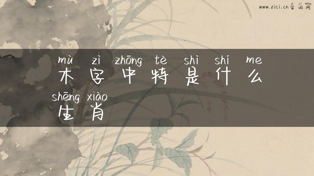 木字中特是什么生肖