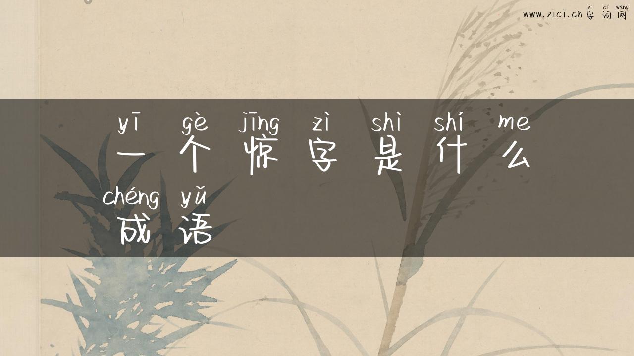 一个惊字是什么成语