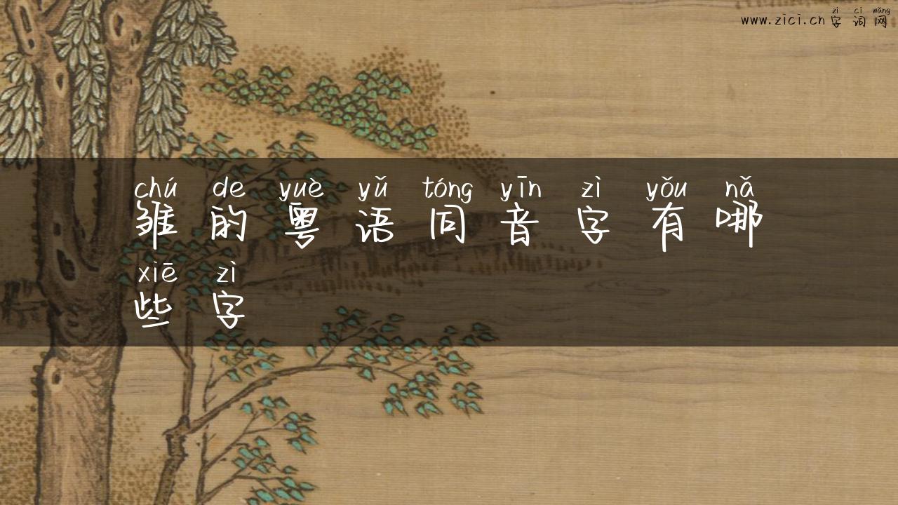 雏的粤语同音字有哪些字