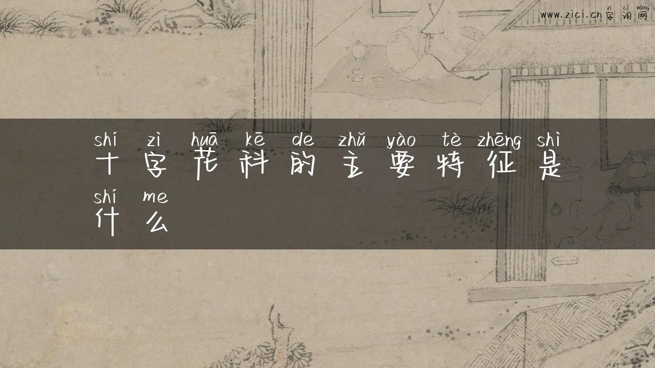 十字花科的主要特征是什么