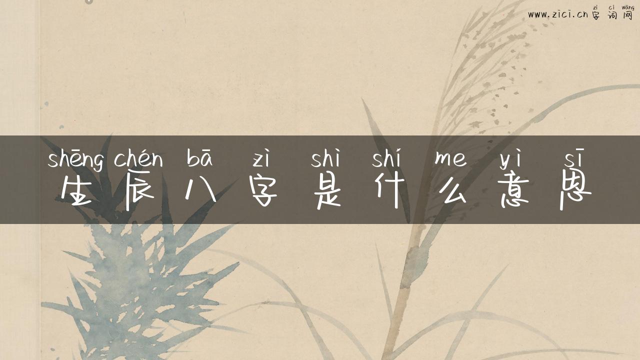 生辰八字是什么意思