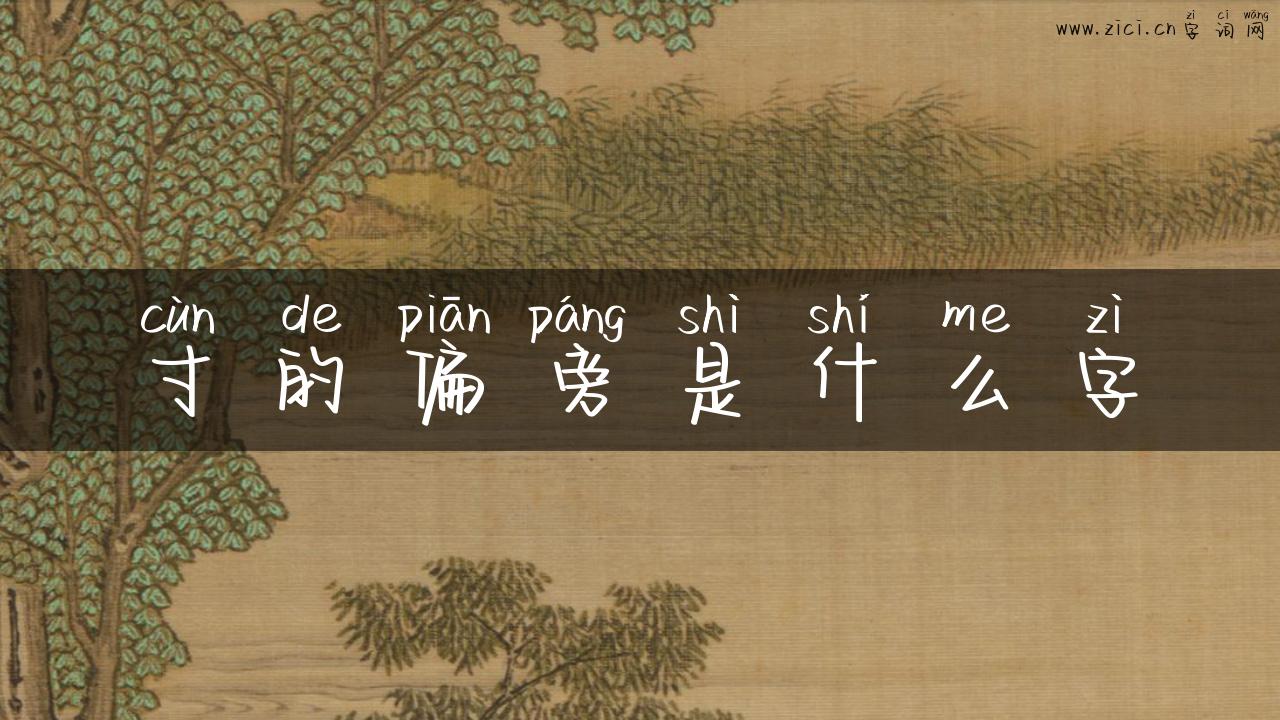 寸的偏旁是什么字