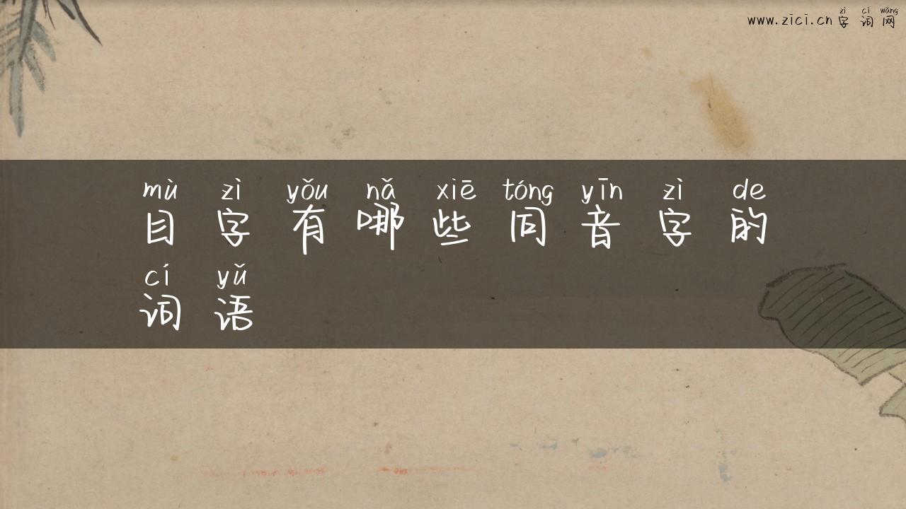 目字有哪些同音字的词语