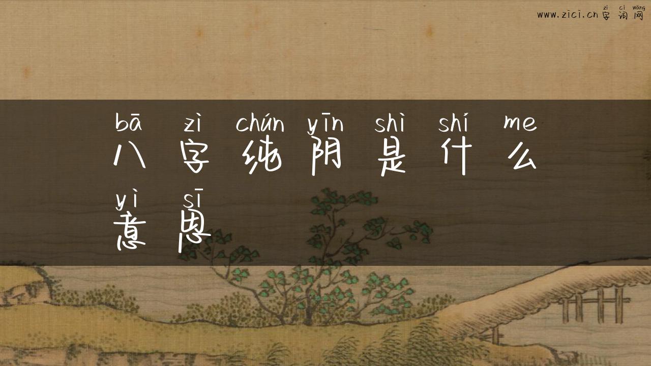 八字纯阴是什么意思