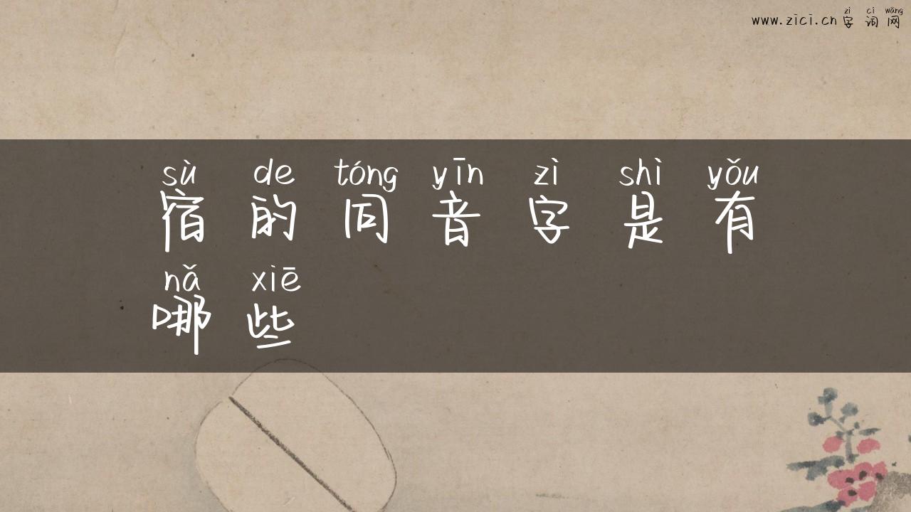 宿的同音字是有哪些