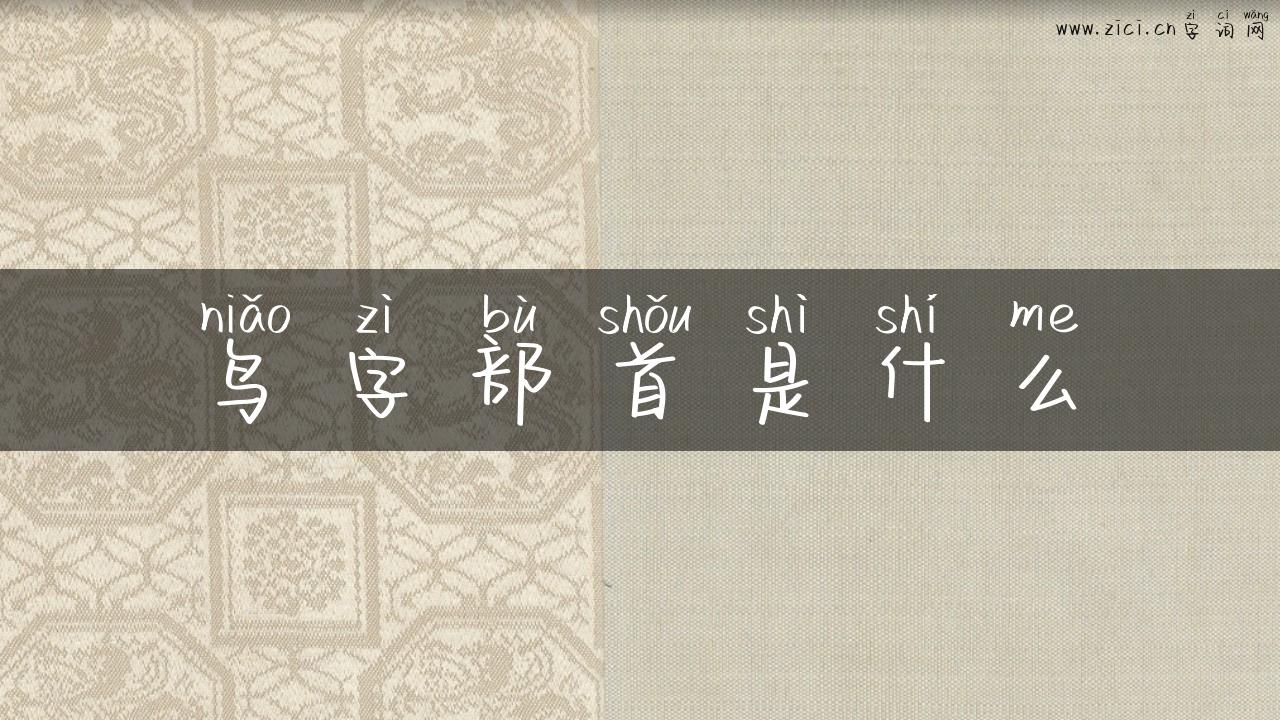 鸟字部首是什么
