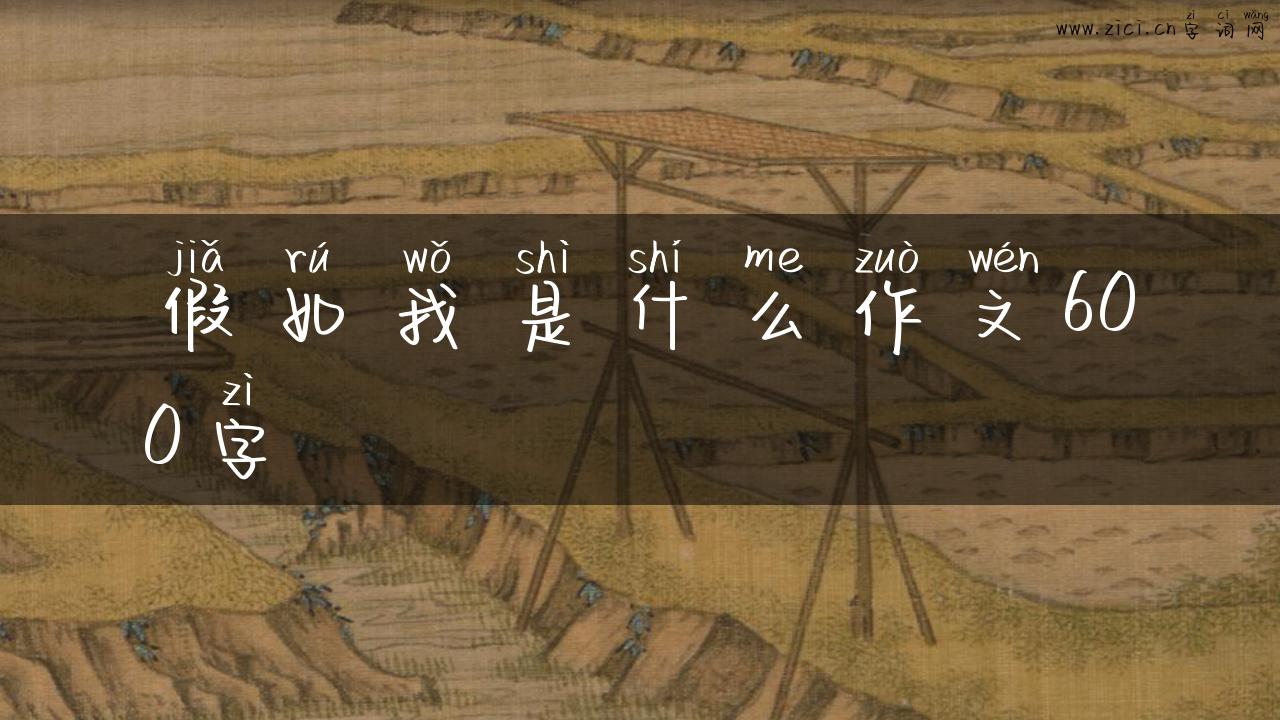 假如我是什么作文600字