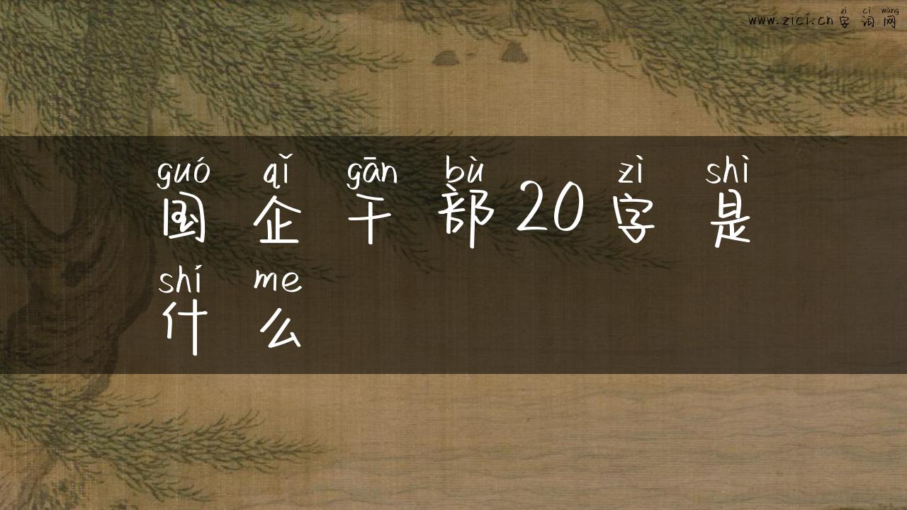 国企干部20字是什么