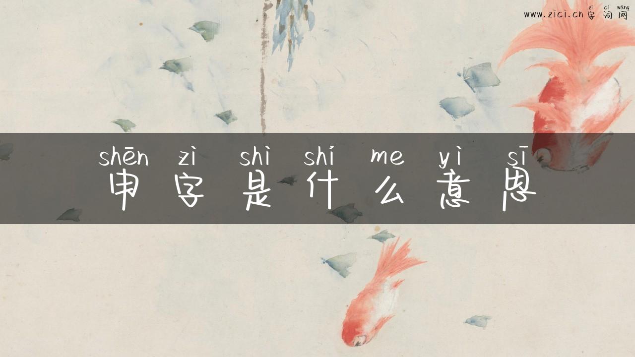 申字是什么意思