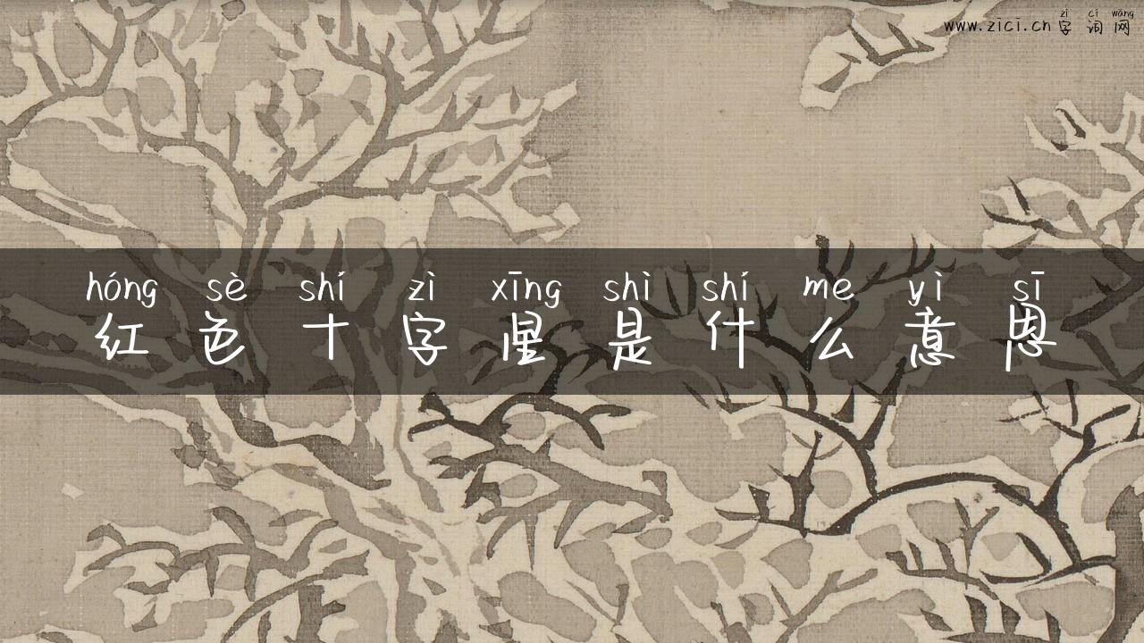 红色十字星是什么意思
