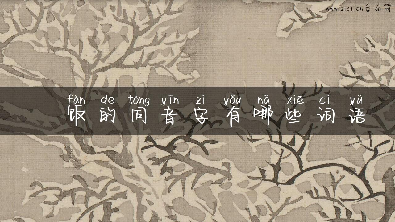 丼饭的同音字有哪些词语