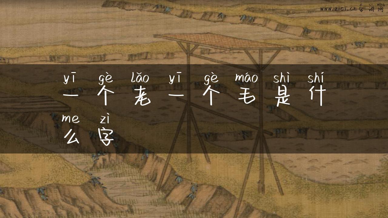 一个老一个毛是什么字