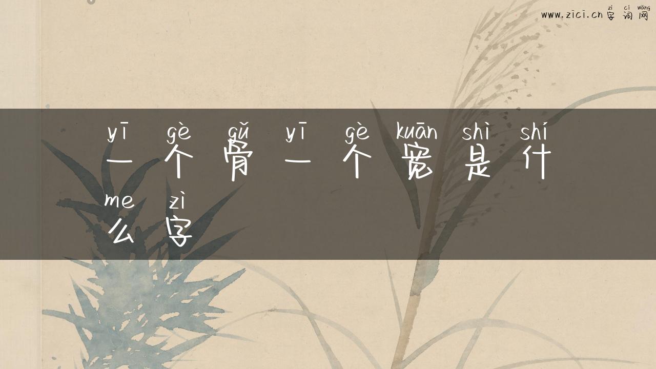 一个骨一个宽是什么字