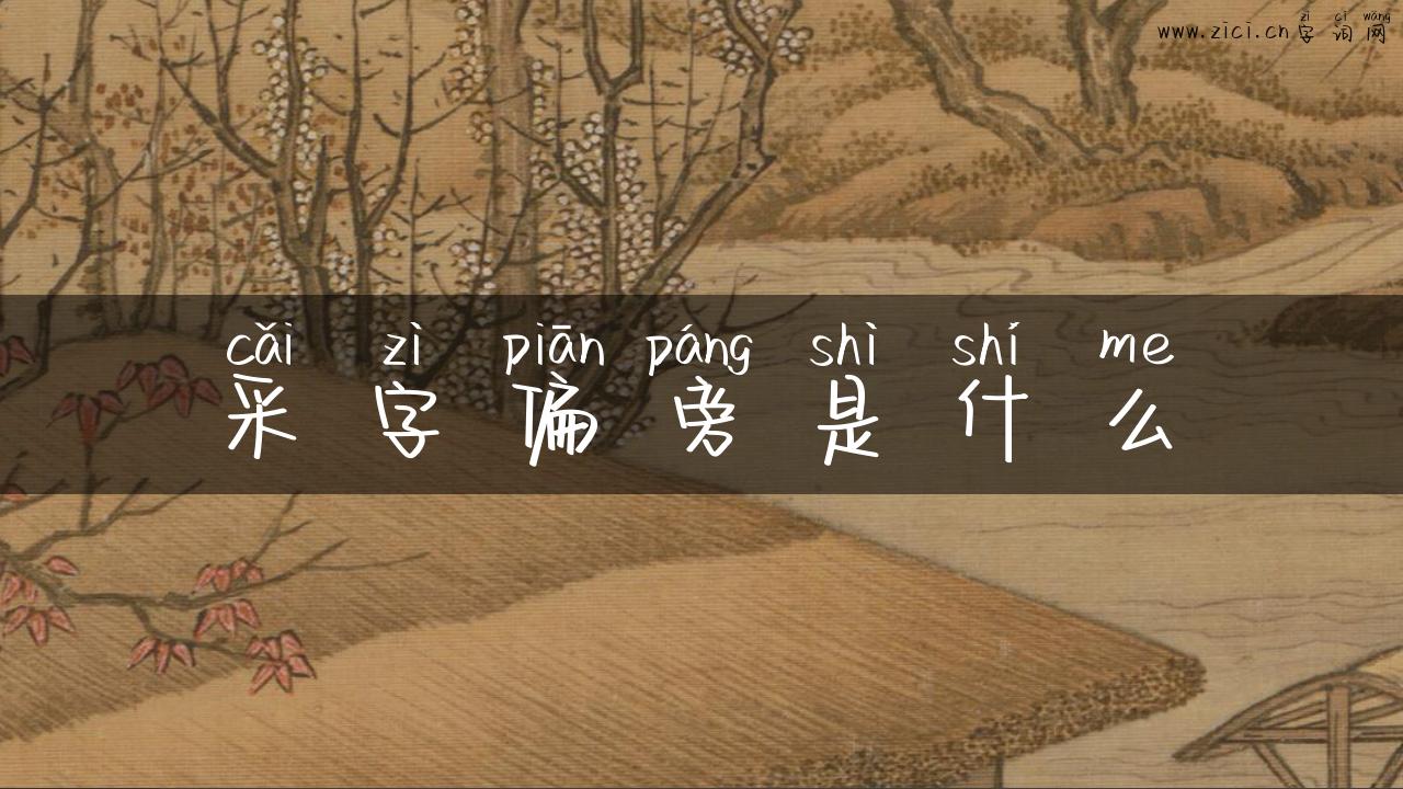采字偏旁是什么