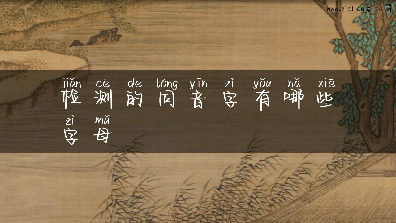 检测的同音字有哪些字母