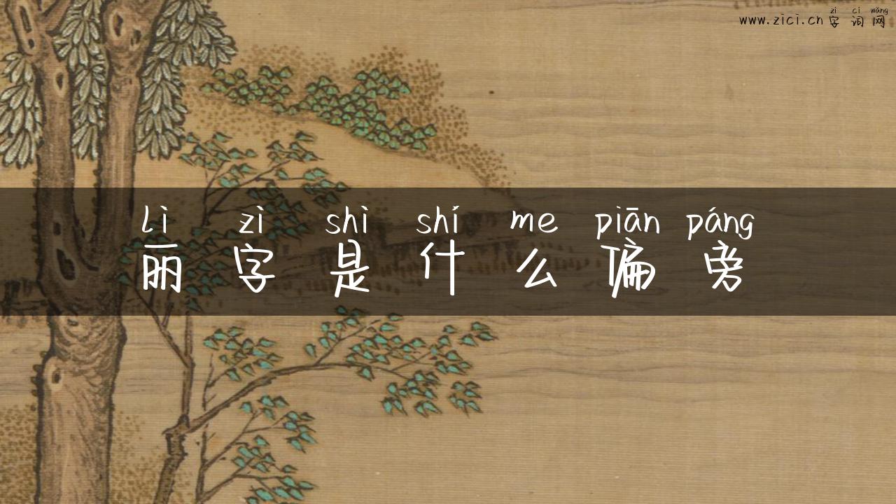 丽字是什么偏旁