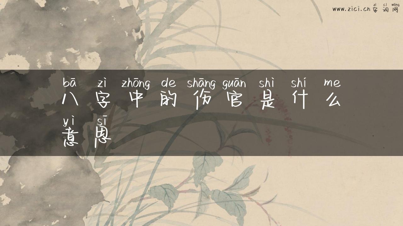 八字中的伤官是什么意思