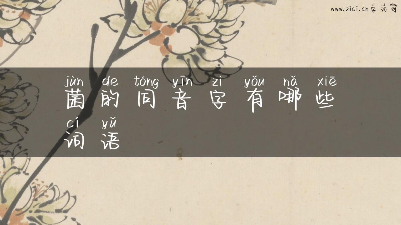 菌的同音字有哪些词语