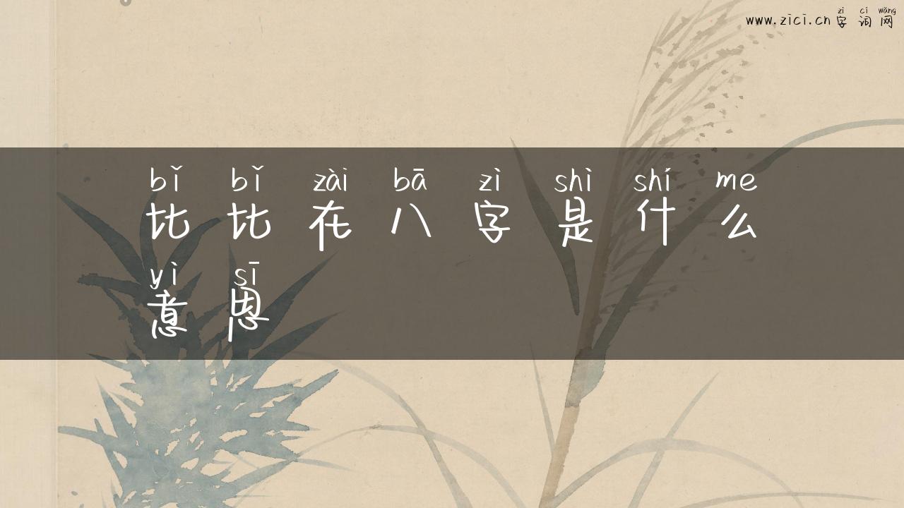 比比在八字是什么意思