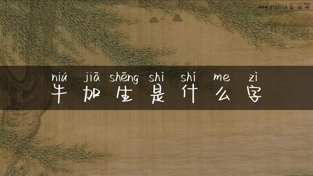 牛加生是什么字