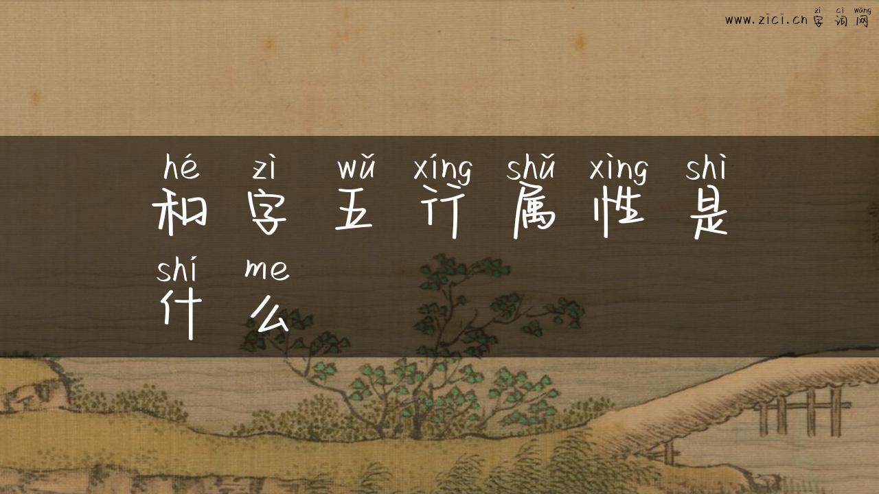和字五行属性是什么