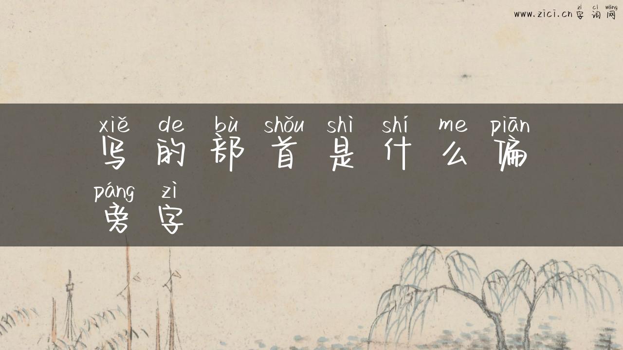 写的部首是什么偏旁字
