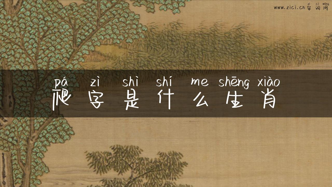 爬字是什么生肖