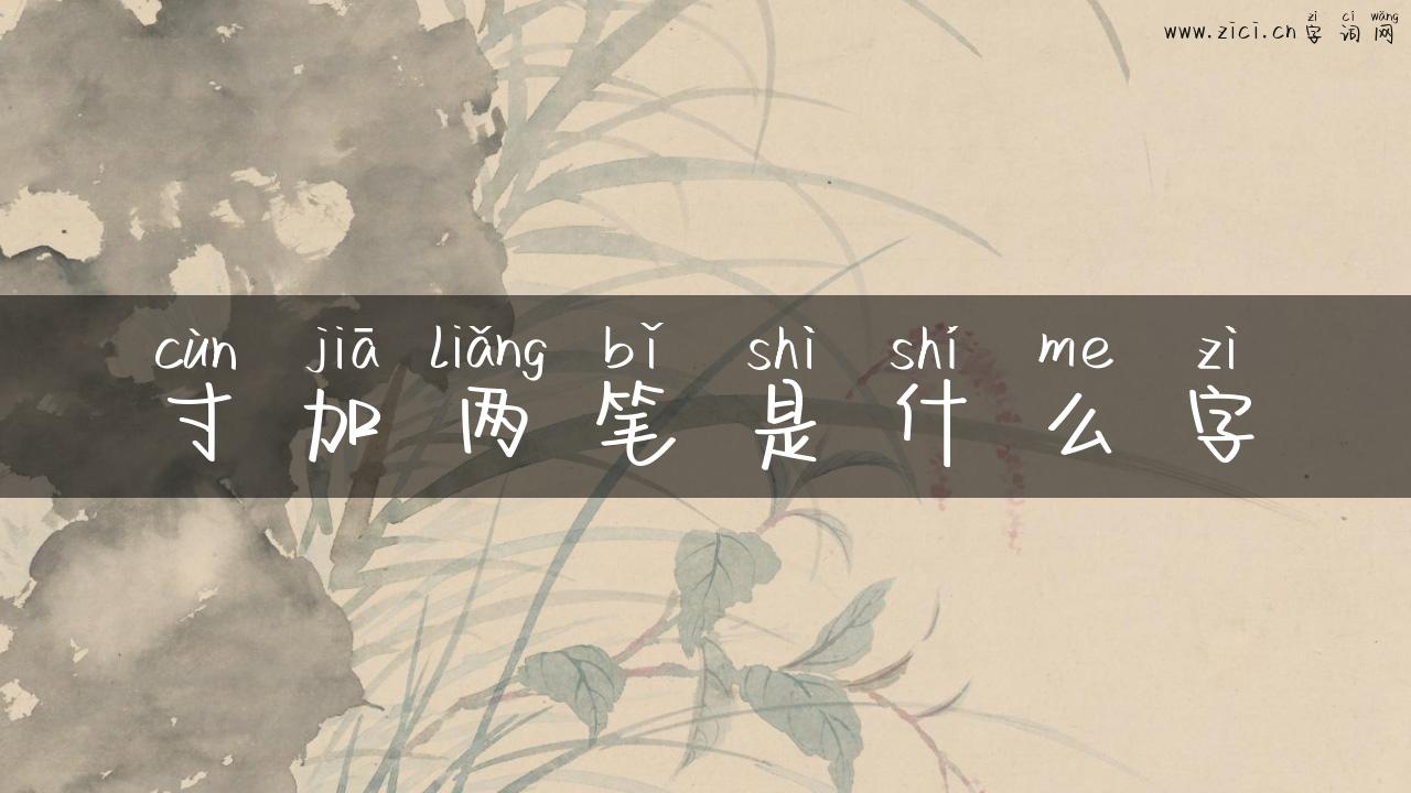 寸加两笔是什么字