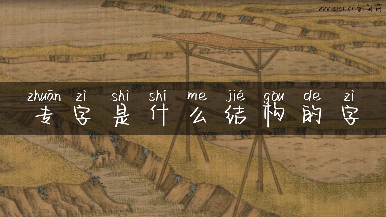 专字是什么结构的字