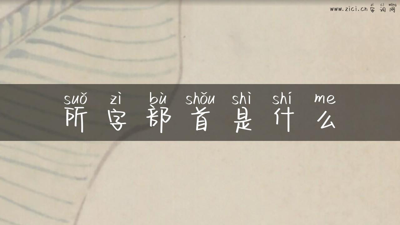 所字部首是什么