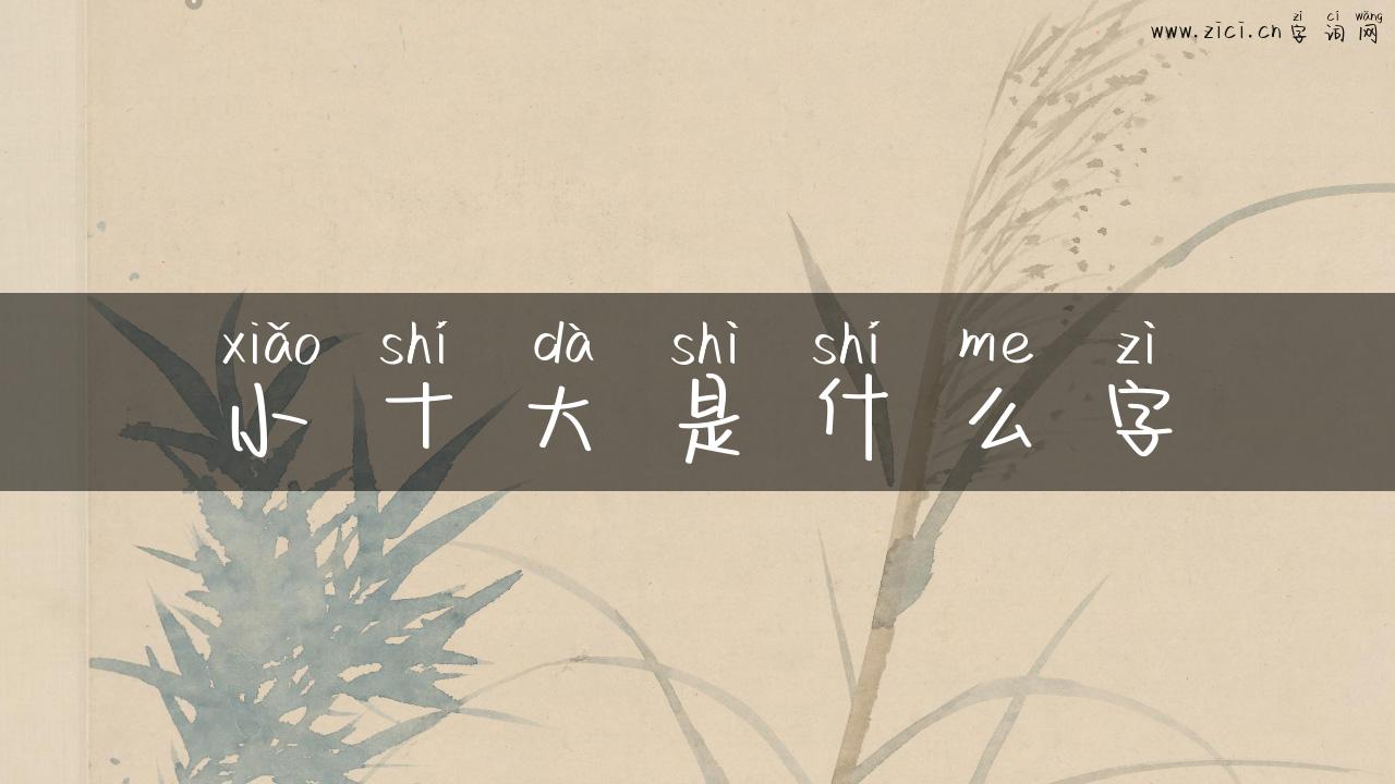 小十大是什么字
