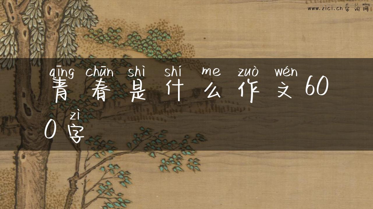 青春是什么作文600字