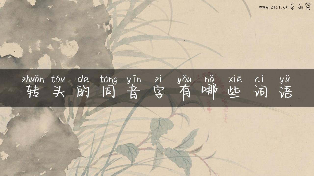 转头的同音字有哪些词语